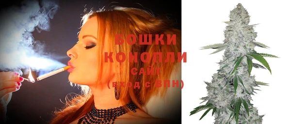 ешки Вяземский