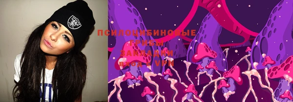 2c-b Горняк