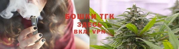 2c-b Горняк