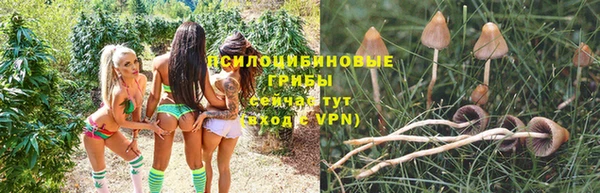 2c-b Горняк