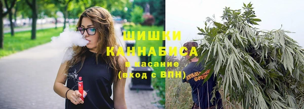 2c-b Горняк