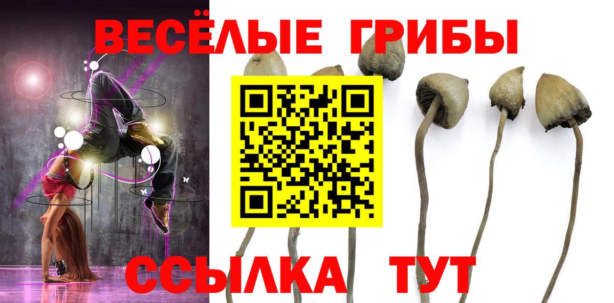 Мценск  хочу   Вход с VPN  Галлюциногенные грибы мухоморы 